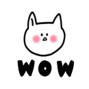 박하제주 이미지