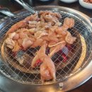 참숯돌이