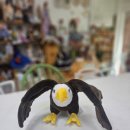 수선동물병원 | 독수리인형 인형수선 인형리폼 마들렌