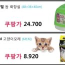 (주)밀레펫 이미지