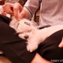 모찌네호캉스 이미지