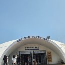Molang-e | (여름) 제주도 커플여행 제주동쪽 3박4일 2일차 #우도
