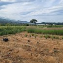 하궁농장 이미지