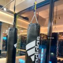 땅콩짐S 이미지