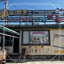 우도에 가면 | 우도바이크 전기차 코코나라 2인파미 대여 후기(+우도 여행, 꿀팁)