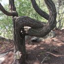 청도군-14 이미지