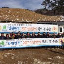 김기수농장 이미지