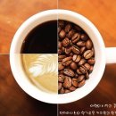 엔제리너스제주 이미지