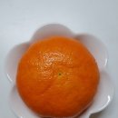 신애식품 이미지