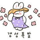 스테이 소로 이미지