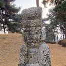 신면공 영광정씨 정부인 화관비 네이버블로그