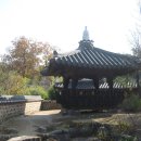 금정사슴농장 이미지