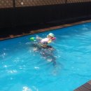 스파시스 이미지