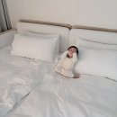 도고저수지길 | 천안 아산 독채 풀빌라! &#39;오늘도 고&#39; 신축 펜션 +수영장, 바베큐장, 무료 불멍까지! 아기랑 완벽했던...