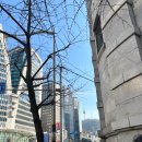 게이크 | 남대문시장 야채호떡 위치 웨이팅 설날연휴