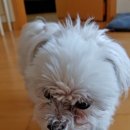 도곡동사진관김도형포토리움 - 강남구 언주로 117 | 가족사진~~ 김도형 포토리움