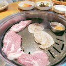 돼지의품격 이미지