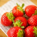 다대농장 이미지