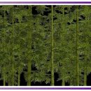 (주)오일석유 제일주유소 | 휘발유보다 무서운 건 습관 연비 절약 운전 진짜 간단하게 해본 후기