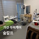 가산 두피케어 숲칼프 두피스케일링 전후 비교