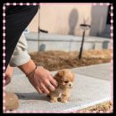 동탄순환대로14길 이미지