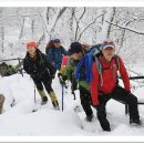 한일맛집 이미지