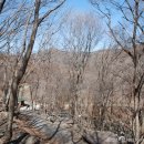 민주지산자연휴양림야영장 이미지