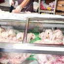 농장닭계란오리직판장 이미지