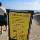 검멀레 | 제주 우도 엑티비티 추천 검멀레보트 이용후기