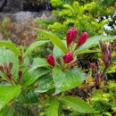 두성보건진료소 이미지