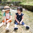 구갈레스피아 이미지