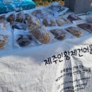 제주인황제건어물 네이버블로그