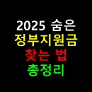 💰 2025 숨은 정부지원금 찾는 법 총정리