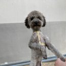 장평면사무소 이미지