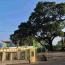 내창 마을회관 이미지