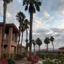 레지던스 힐 | [팜스프링스] 호텔 레지던스 인 팜 데저트 숙박, 조식 후기 Residence Inn Palm Desert