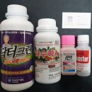 크린-텍 이미지