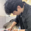 미코 그루밍 이미지