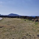 삼양환해장성 | 고려·조선 시대 방어 유적, ‘삼양 환해장성’