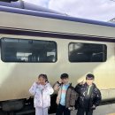 (주)메드월드 | 롯데월드 물품보관함 장소 및 롯데월드 내 식사 후기🍗🍛🥢