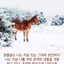 나는 지금 나를 위한 완벽한 현실을 경험하고 있다. 이미지