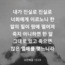 요한복음 12장 24절 이미지