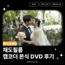 웨딩 DVD | 채도필름 내돈내산 후기 (빈티지 캠코더 본식촬영, 후회없을까?)