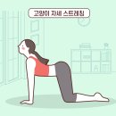 금호스트레칭 네이버블로그