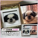 백설 | [공지] [전주 반려동물 인형 공방]반려견 양모펠트 제작 후기 : 백설공방 (내돈내산) /택배가능