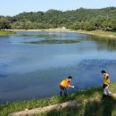 제천시청 이미지