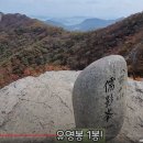 209차 고흥 팔영산 608m(7.4km 4시간) 이미지