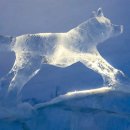 알프스얼음보석궁전 이미지