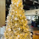 영하목장 이미지