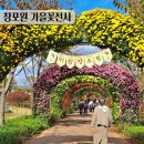 거창-북상-5 | 거창 창포원 국화축제 11월 가을꽃전시 후기